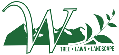 Wright Tree, Lawn & Landscape Care logo