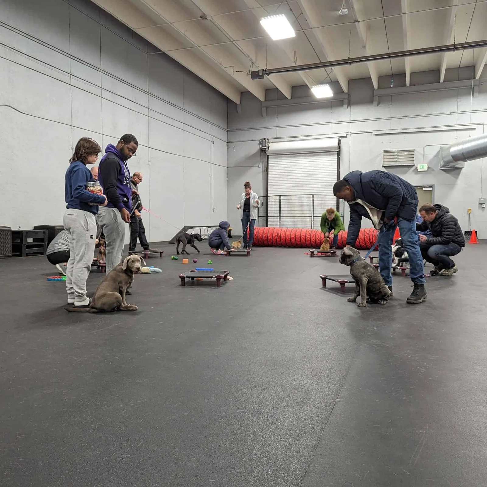 Sit Means Sit Dog Training Colorado Springs