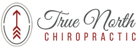 True North Health Center logo