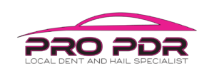 Pro PDR logo
