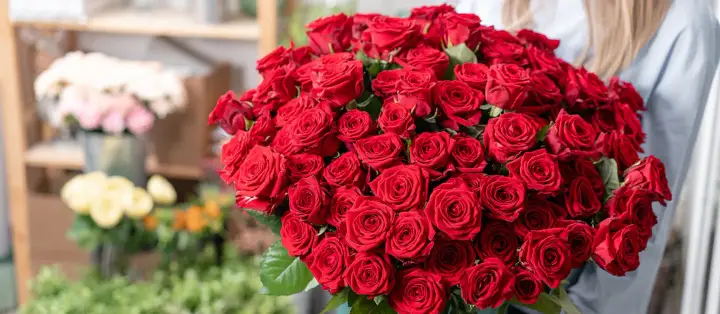 Sign of the Rose