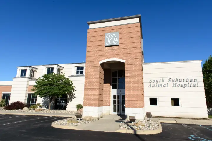 South Suburban Animal Hospital