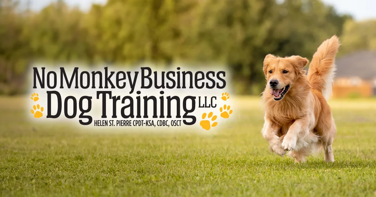 No Monkey Business Dog Training