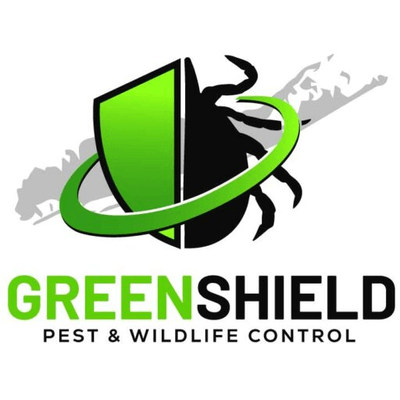 Green shieldny logo