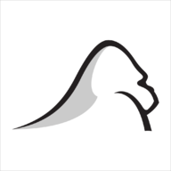 Silverback Strategies logo