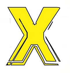 Nex Level Fitness logo