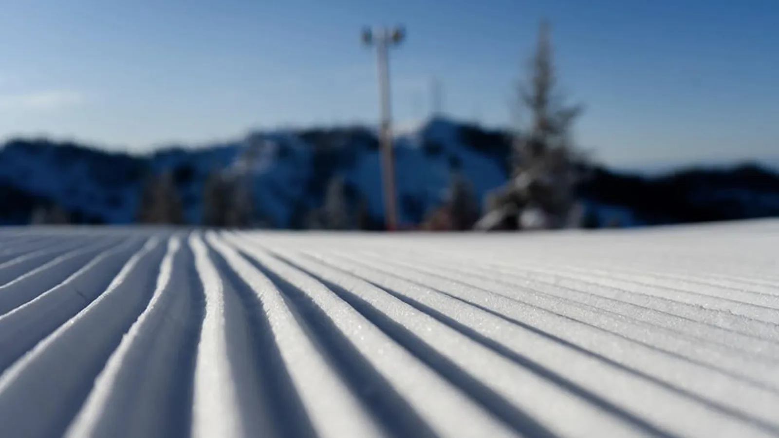 Bogus Basin
