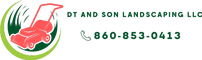 DT and Son Landscaping LLC logo
