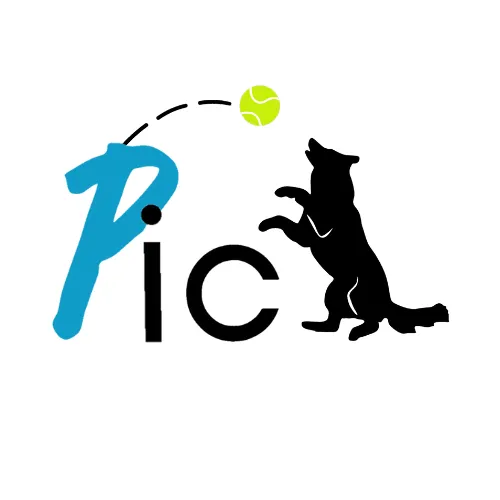 Partners in Canine