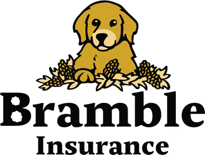 Bramble Insurance logo