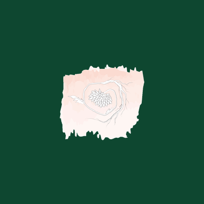 The Root logo