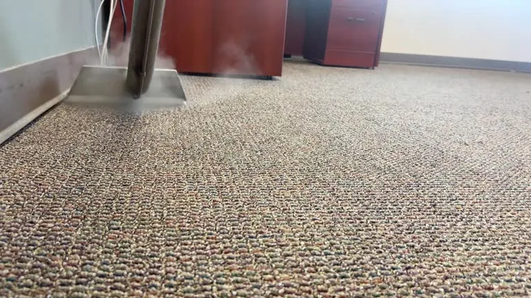 Superior Carpet Care