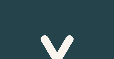 Viva Boutique Wellness logo