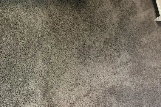 Clean Living Carpet Cleaners