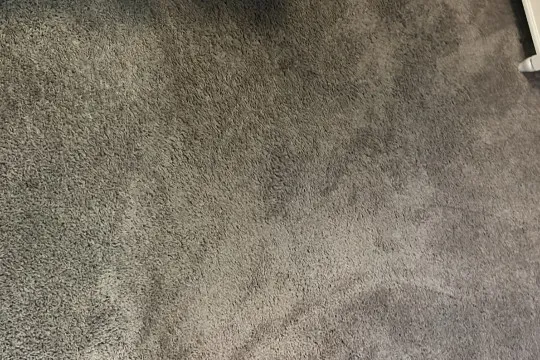 Clean Living Carpet Cleaners