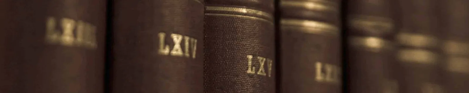 The Monk Law Group
