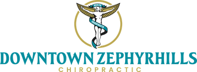 Chiropractor Zephyrhills FL logo