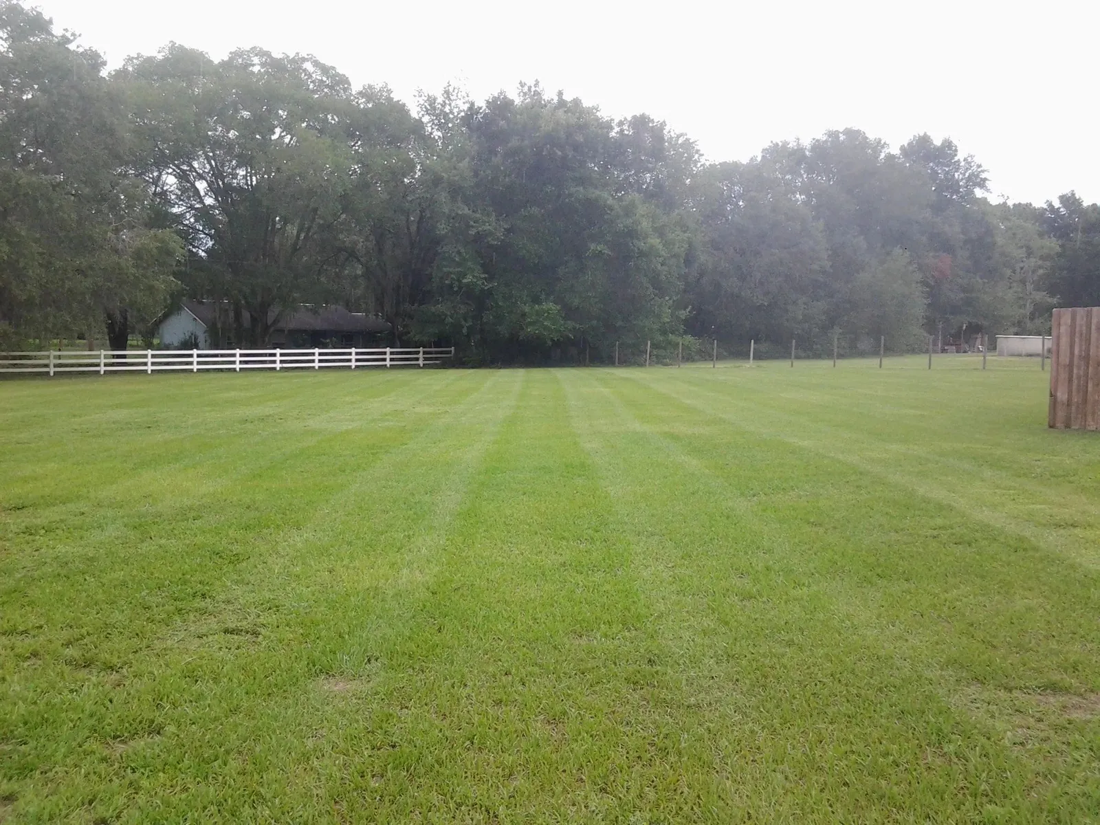 Wesley Chapel Lawn Care Service