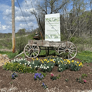 Sanders Creek Company logo
