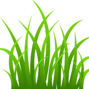 Green Yard Aeration logo