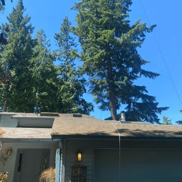 Earthworks Tree Service