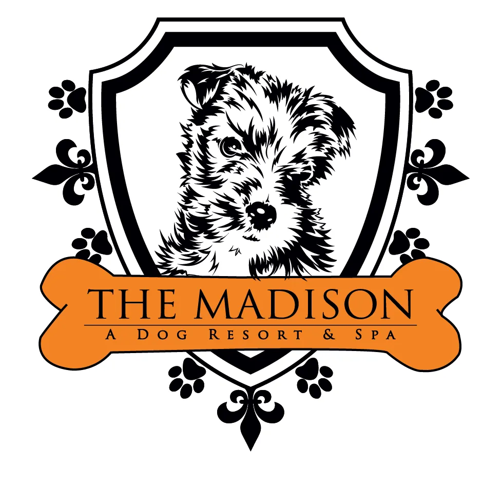 The Madison Dog Resort & Spa