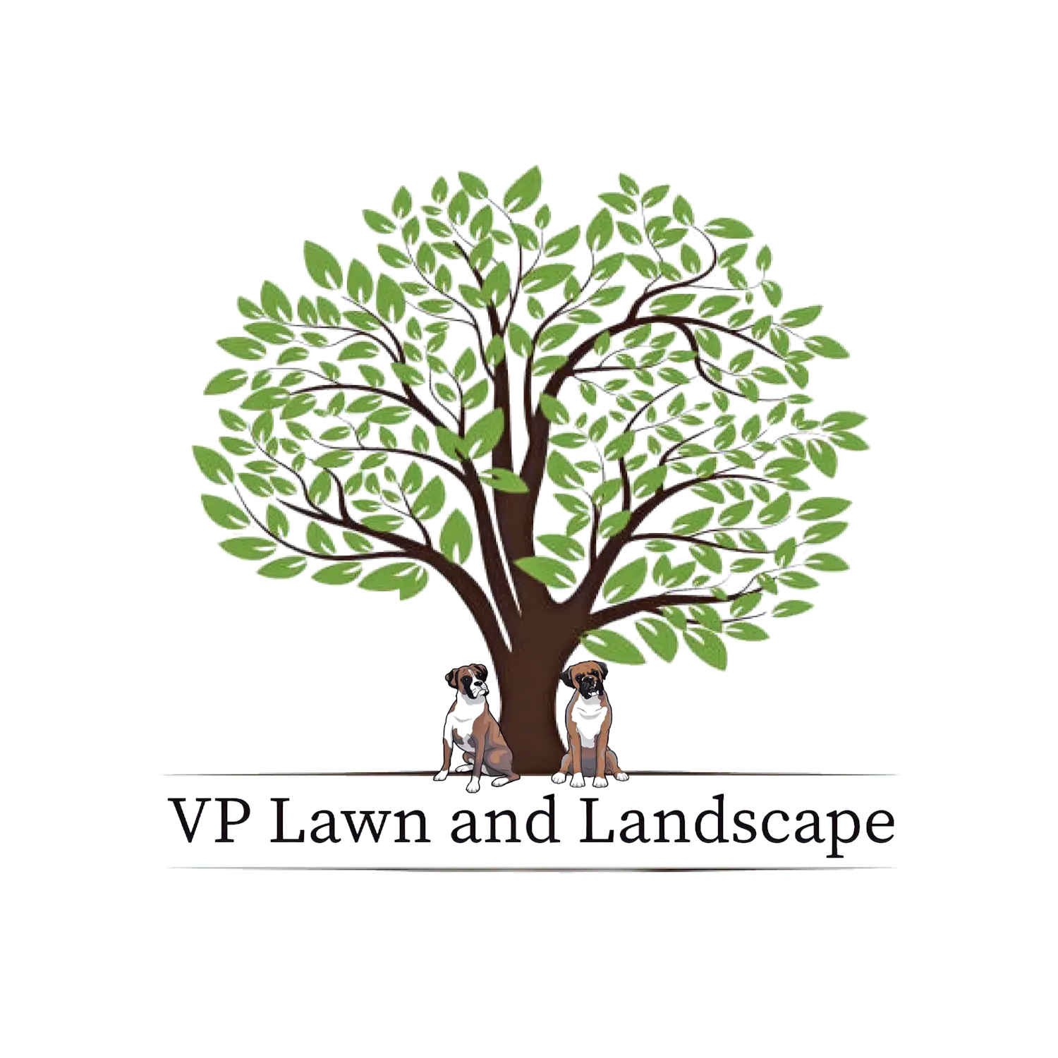VP Lawn and Landscape