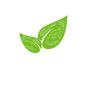 Itality Plant Based Foods logo