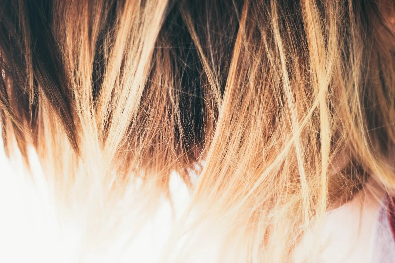Fringe Hair Studio
