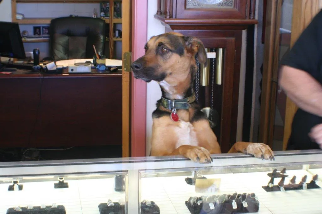 Pawn Shop