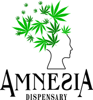 Amnesia logo