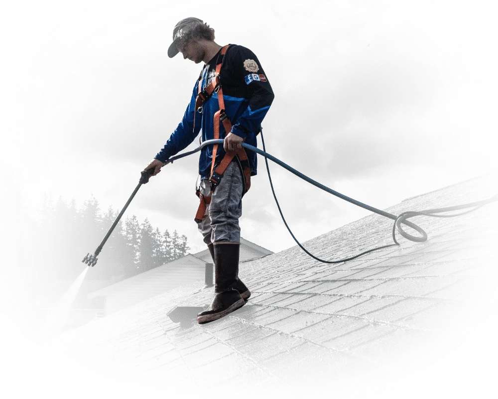 Mt. Baker Window Cleaning Co.