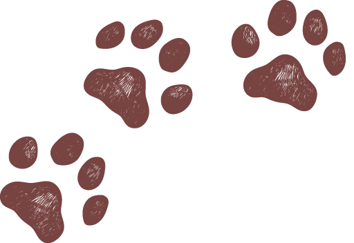 Garden Grove Animal Hospital