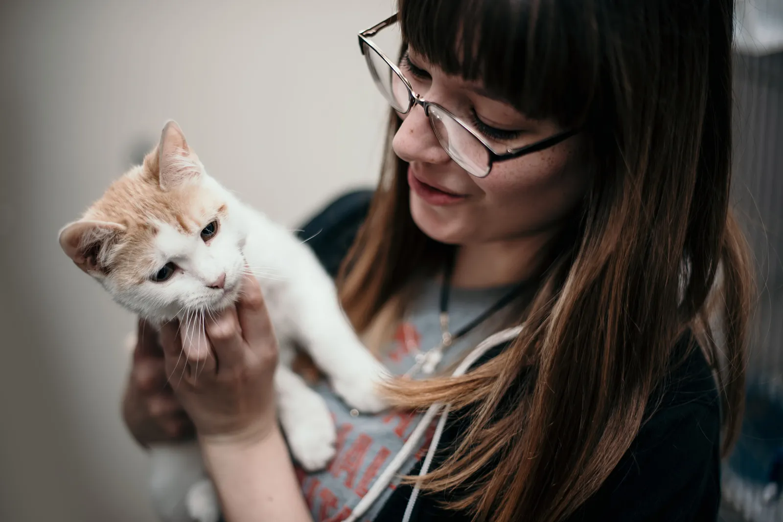 Live Oak Animal Hospital & Pet Hotel