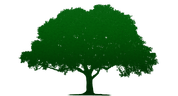 Tree Service Pros logo