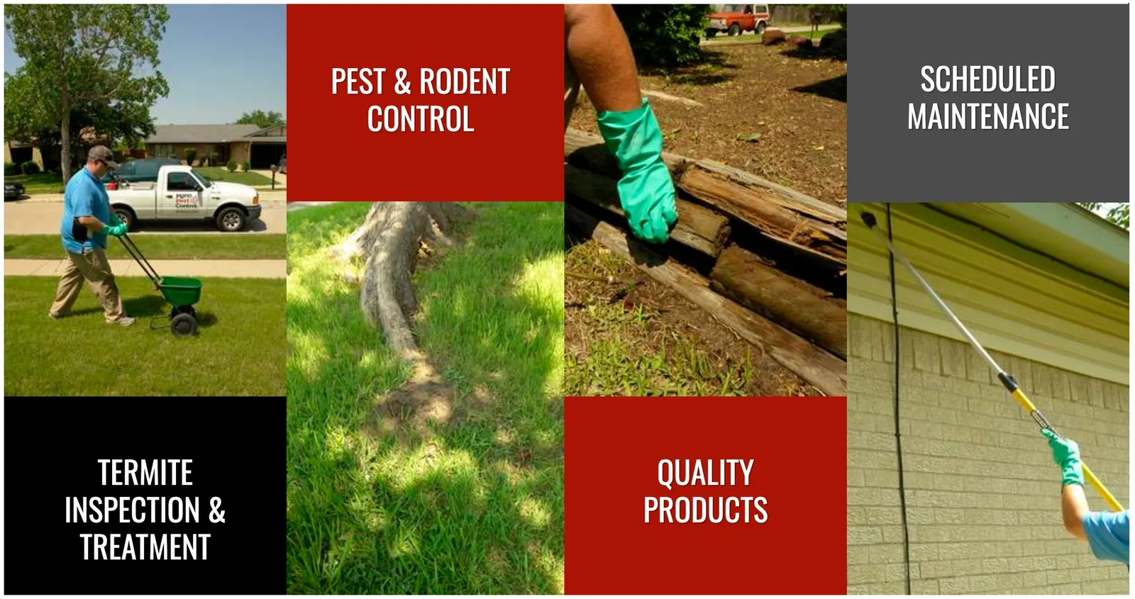Plano Pest Control