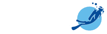 Evolution Leak Detection logo