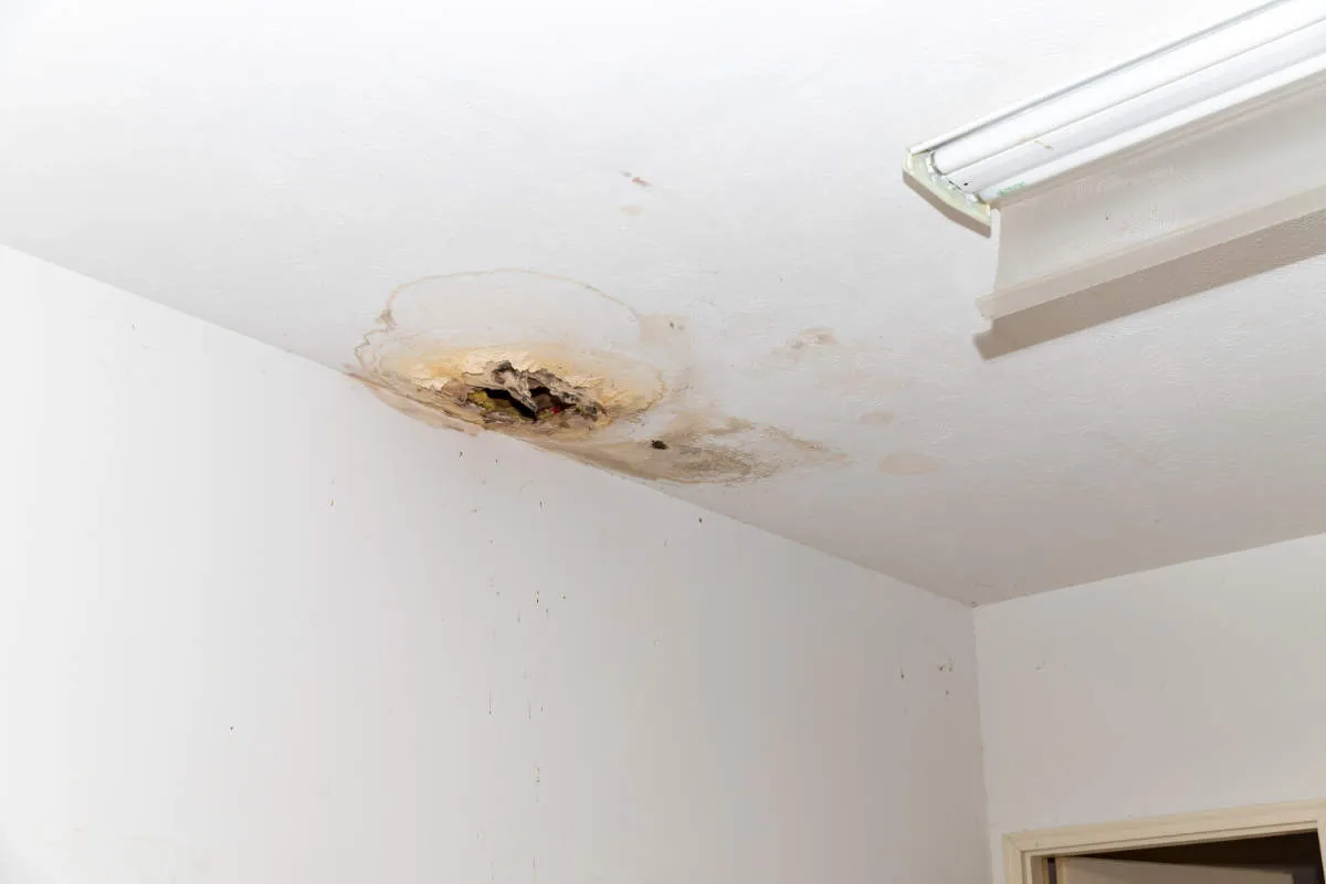 Water Damage Restoration Service Bakersfield