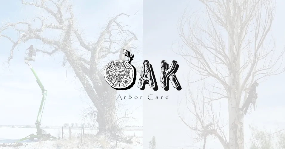 Oak Arbor Care