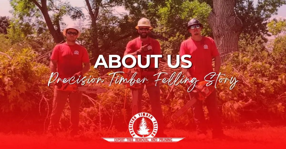 Precision Timber Felling