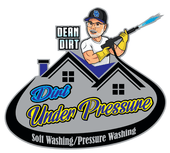 Soft & Pressure Washing logo