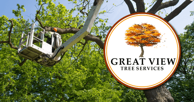 Great View Tree Service logo