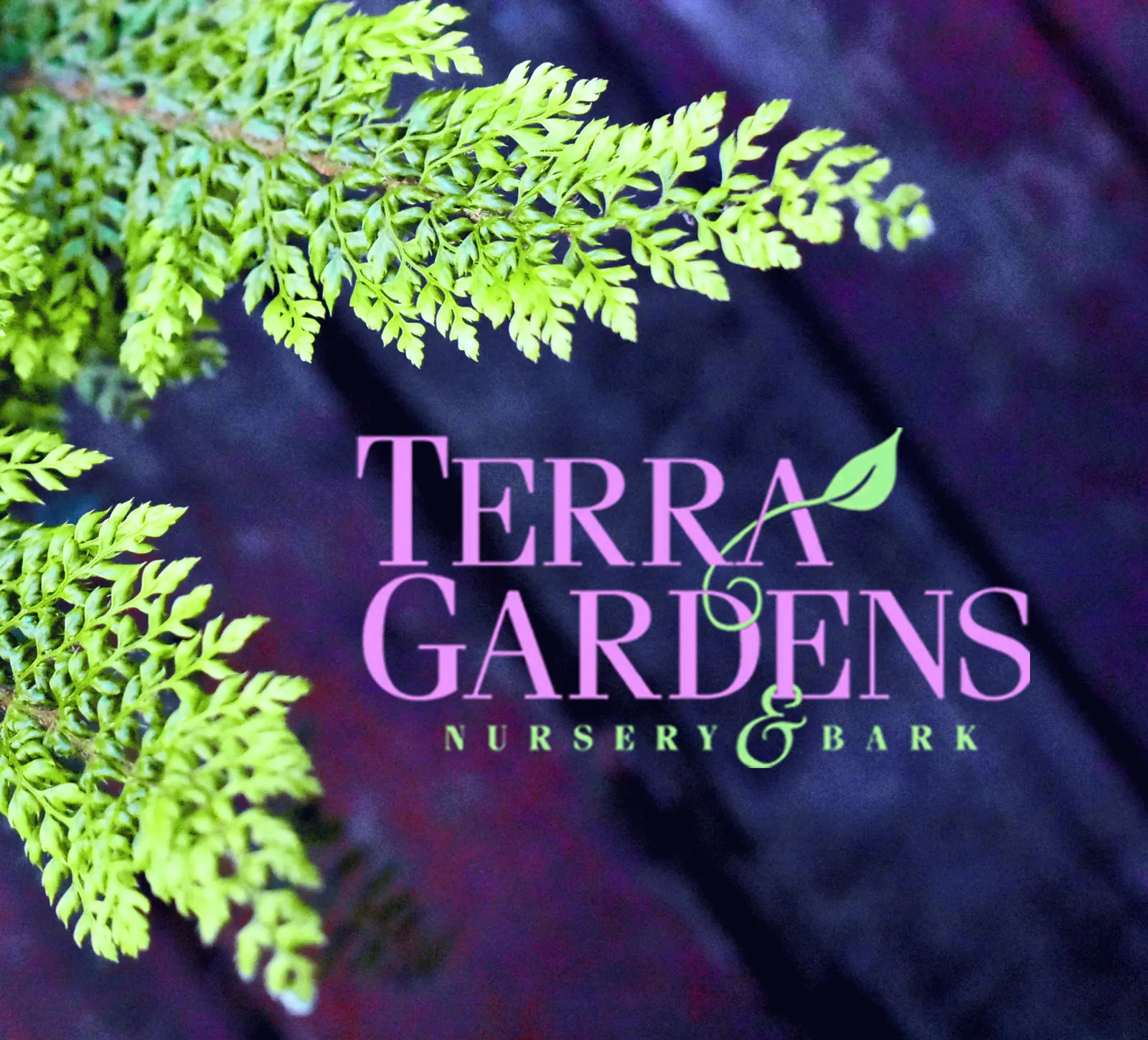 Terra Gardens Nursery & Bark