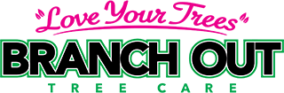 Branch Out Tree Care logo