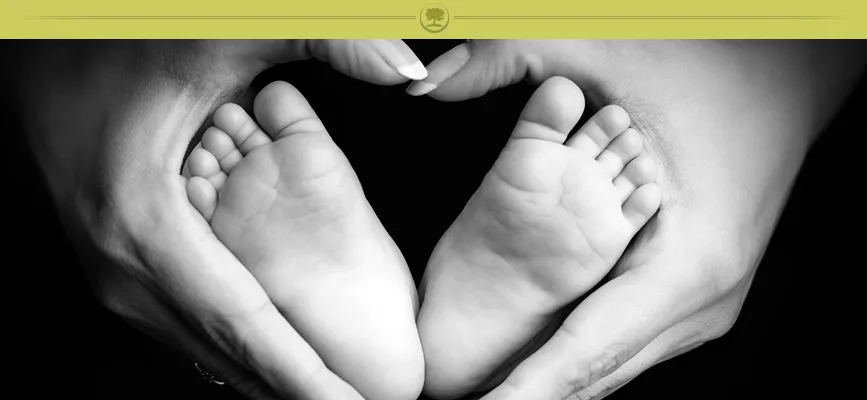 Santini Chiropractic
