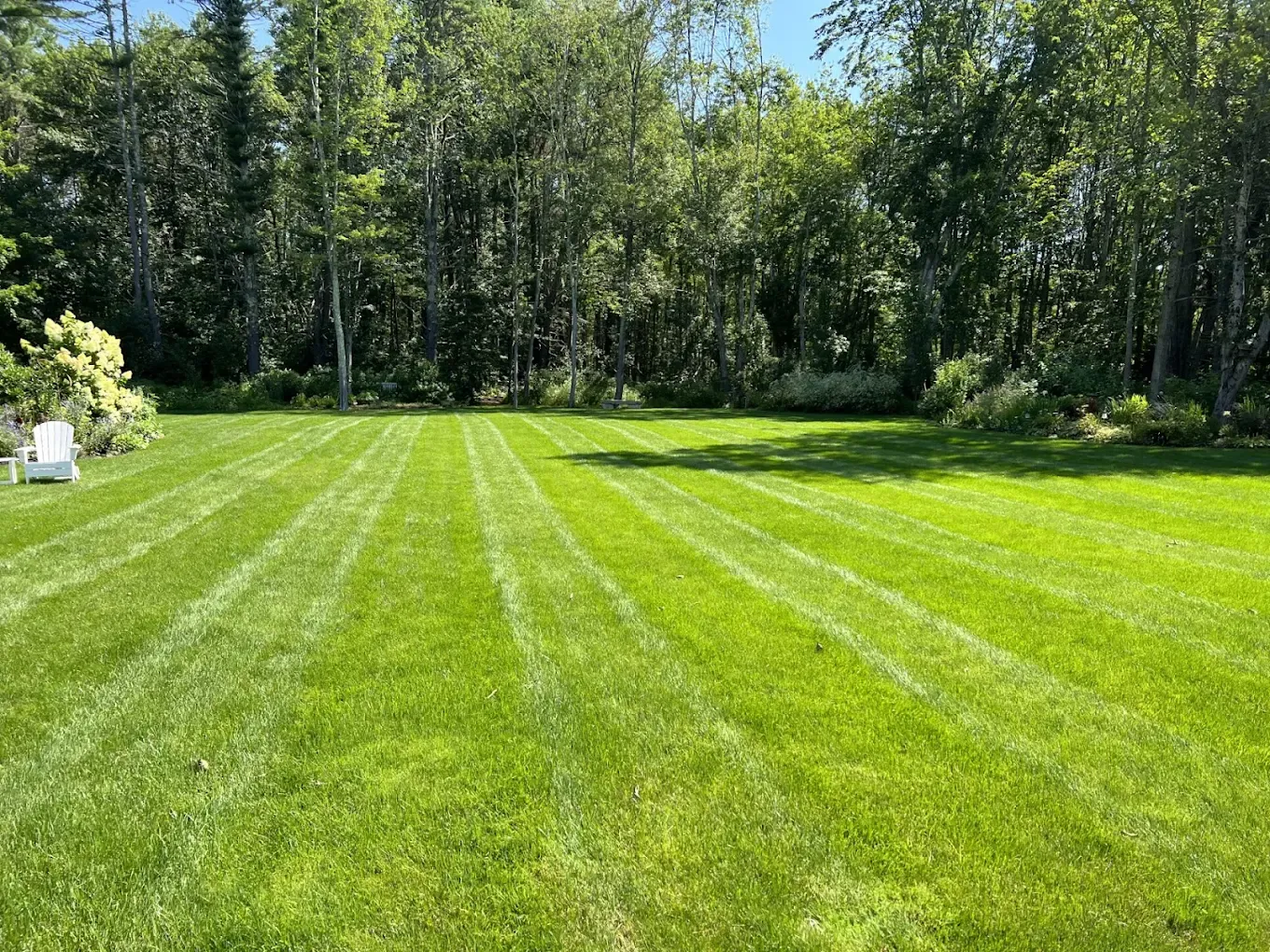 Wicked Green Lawn Specialists