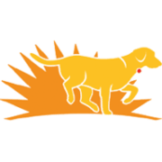 Beyond the Leash logo