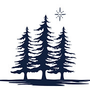 True North Criminal logo