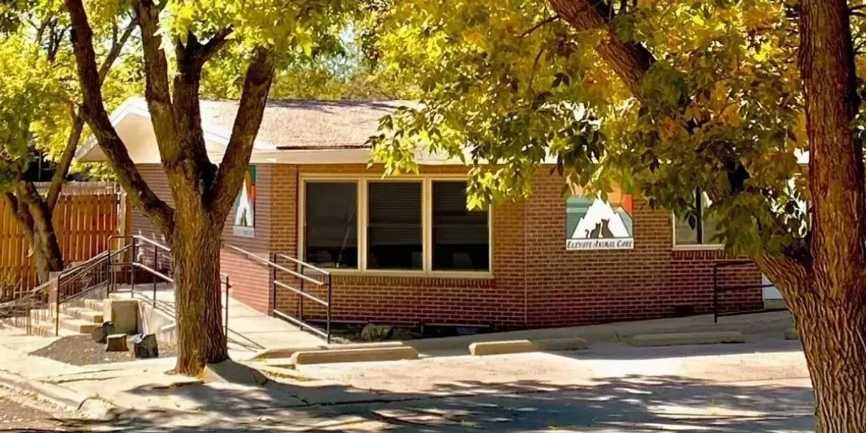 Elevate Animal Care