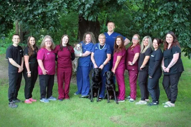 Peace of Mind Veterinary Care